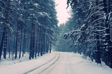 Adventure Hd Wallpapers