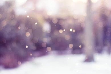 2560x1440 Winter Bokeh Desktop PC And Mac Wallpapers