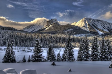 Download Wallpapers 2560x1440 Snow, Winter, Trees Mac iMac 27 HD ...