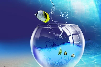 Wallpapers For Desktop Full Screen   Wallpapers Cave