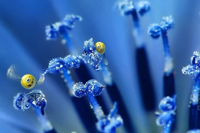 3d wallpaper background.jpg