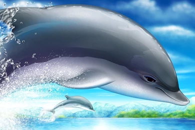 3D Animated Dolphin HD Wallpapers