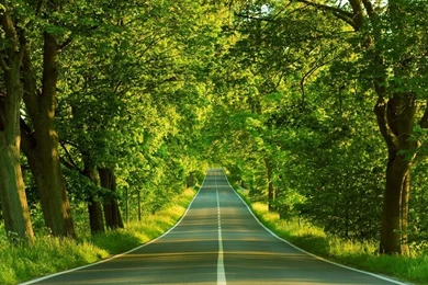 Natural Backgrounds Wallpapers   Desktop Backgrounds