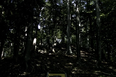 Johann Lurf VERTIGO RUSH