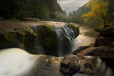 Hd Forest Wallpapers 1280x1024