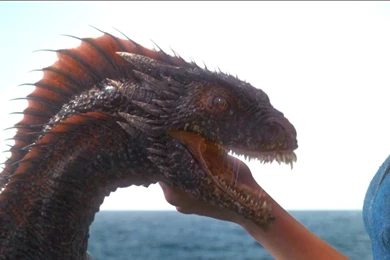 Game Of Thrones Drogon >> HD Wallpaper, Get It Now!