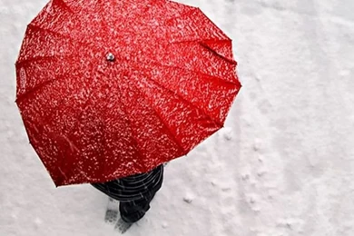 Heart shaped iPhone 5s Wallpapers