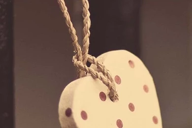 Roses Heart iPhone 5s Wallpapers Download