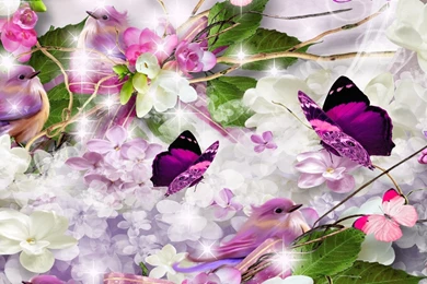 Lilac Desktop Wallpapers