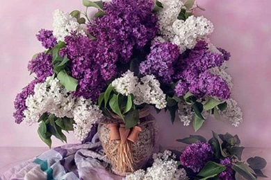 BEAUTIFUL LILACS WALLPAPER   (