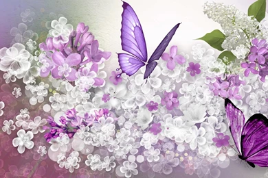 LILAC PREDICITION WALLPAPER   (