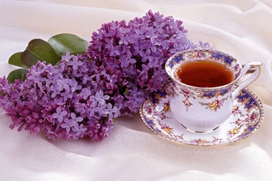 Lilac Wallpapers   All Wallpapers New