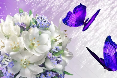 Lilacs Wallpapers >> Backgrounds With Quality HD