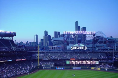 Seattle From Safeco