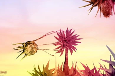 Seductive Wallpapers 261507