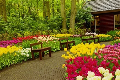 Nature Wallpapers, Hd Desktop Images, Landscape, Amazing Views ...