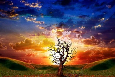 Download Free 3D Animated Desktop Wallpapers