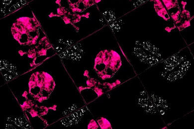 Pink Skull Wallpapers   HD Wallpapers Pretty