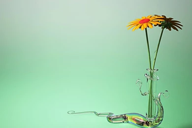 Free 3D Daisy Flowers Backgrounds For PowerPoint   3D PPT Templates