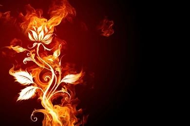 Fire flower 3d wallpaper 3d fire flower windows wallpapers.jpg