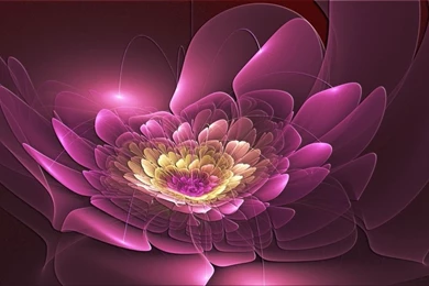 Orange Wide Cool Wallpapers 3d.