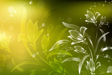 All HD Wallpapers  Best Wallpapers For Desktop   Free Wallpapers For ...