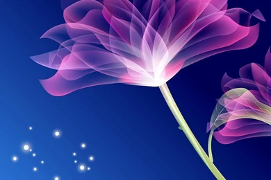 15 Flower Wallpapers HD Wallpaper Backgrounds