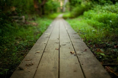 YouWall On My Way Wallpapers Wallpaper,wallpapers,free ...