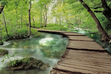 Dreamscene.org   Gallery/Download   Free Dreamscenes, Video Loops ...