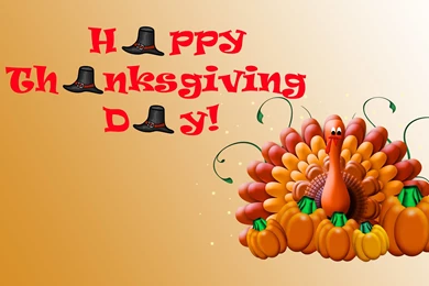 Happy Thanksgiving Turkey Wallpapers 24761