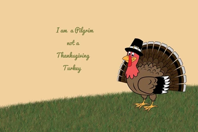 I Am A Pilgrim, Not A Thanksgiving Turkey Wallpapers   Holiday ...