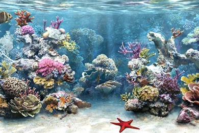 Fish Tank Desktop Backgrounds Animated Fish Tank Desktop Backgrounds ...