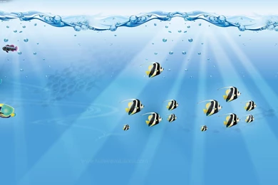 Twitter Backgrounds – Fishes In A Fish Tank   Twitterevolutions