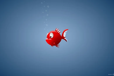 Red Fish Wallpapers   Wallpapers Cave