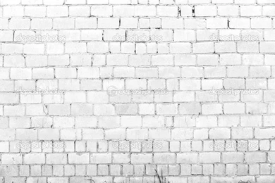 White Backgrounds Perfect 2049 Backgrounds Edition