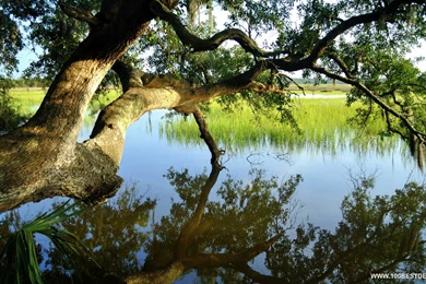 33 Top 100 nice nature desktop wallpaper and background landscapes ...