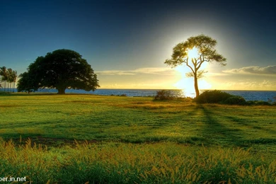 HD wallpaper free download for android.jpg