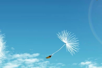 1080x1920 Cool Sun Light Wallpapers HD