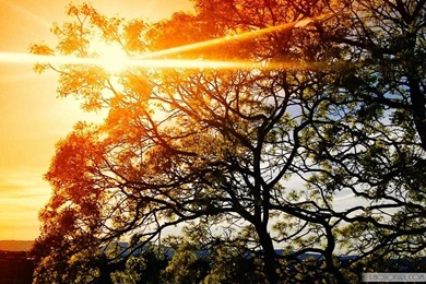 Best And Popular Wallpapers Of 2013