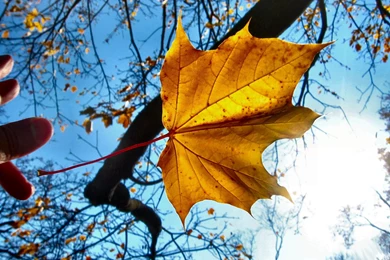 Autumn Time in Nature 016.jpg