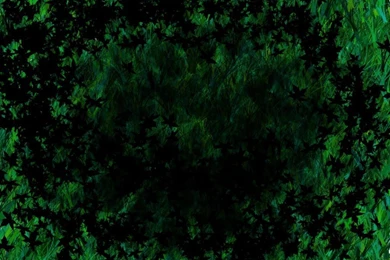 Green And Black Wallpapers 1 Widescreen Wallpapers ...
