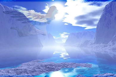 Download Best Angels In Heaven Wallpapers   Free WordPress Plugins