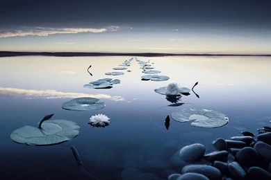 Heaven Wallpapers >> Backgrounds With Quality HD