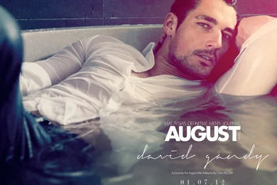 David Gandy Photo, Pics, Wallpapers   Photo