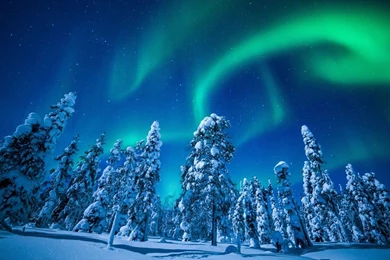 Northern Lights Finland Snow Trees Wallpapers 1920x1080