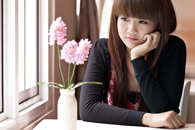 1920x1080px Red Trees In Japan Wallpapers