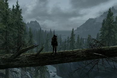 Skyrim Wallpapers 1600x900   Wallpapers Cave