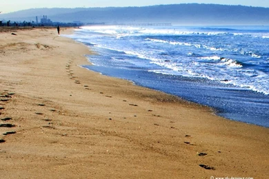 Free Wallpaper  Beach Desktop Wallpapers