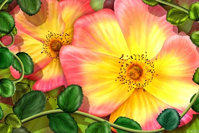 30+ Flower Backgrounds