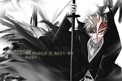 Bleach Hollow Ichigo Kurosaki Ichigo Zanpakuto Wallpapers ...